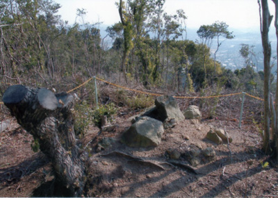 �a�c�Y�����R�T����i���l���j